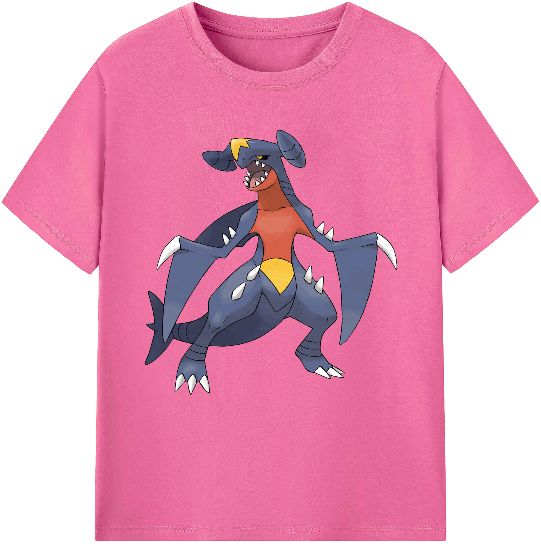 （画像用） ポケットモンスター Pokémon レディースカジュアルプリントTシャツ（綿100％）